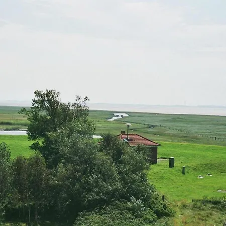 Panorama Whg 7 Apartmán Baltrum